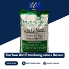 Karbon Aktif tambang emas Davao 4