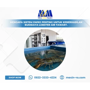 Mengapa Sistem SWRO Penting untuk Keberhasilan Budidaya Lobster Air Tawar?
