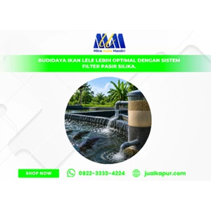 Budidaya Ikan Lele Lebih Optimal dengan Sistem Filter Pasir Silika