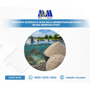 Mengapa Budidaya Ikan Nila Membutuhkan Pasir Silika Berkualitas?